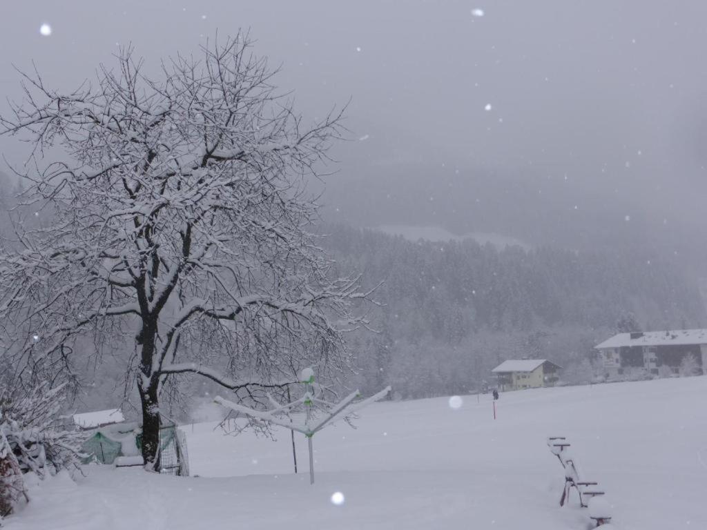 Schwaighof Villa Oberau Buitenkant foto