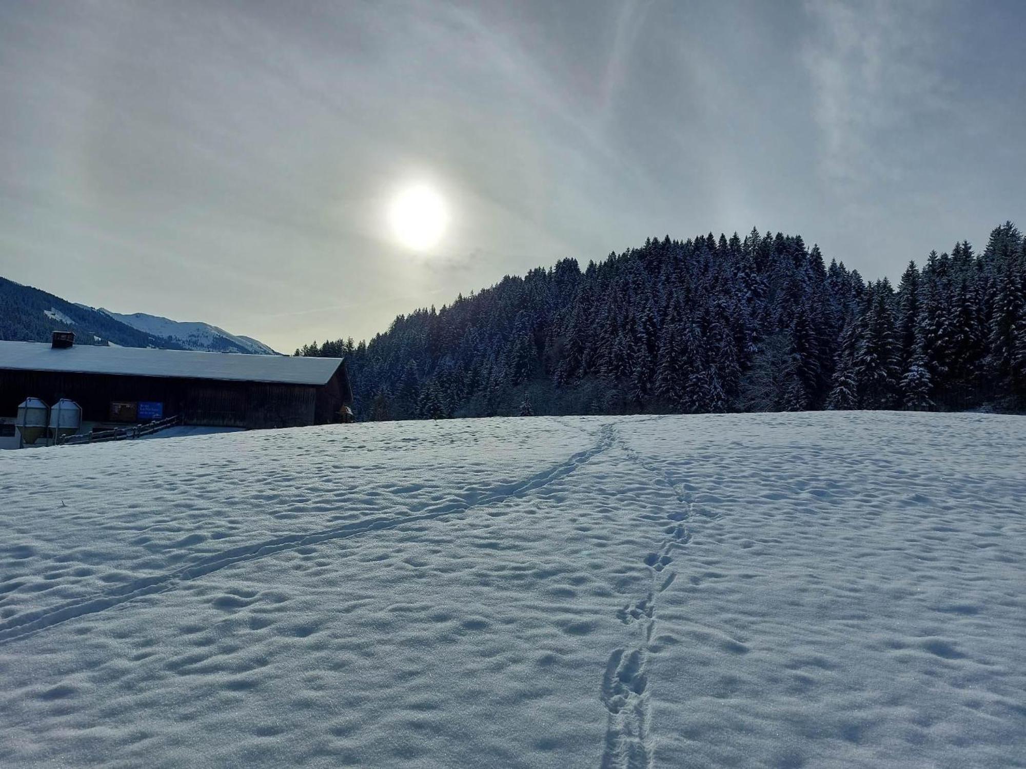 Schwaighof Villa Oberau Buitenkant foto