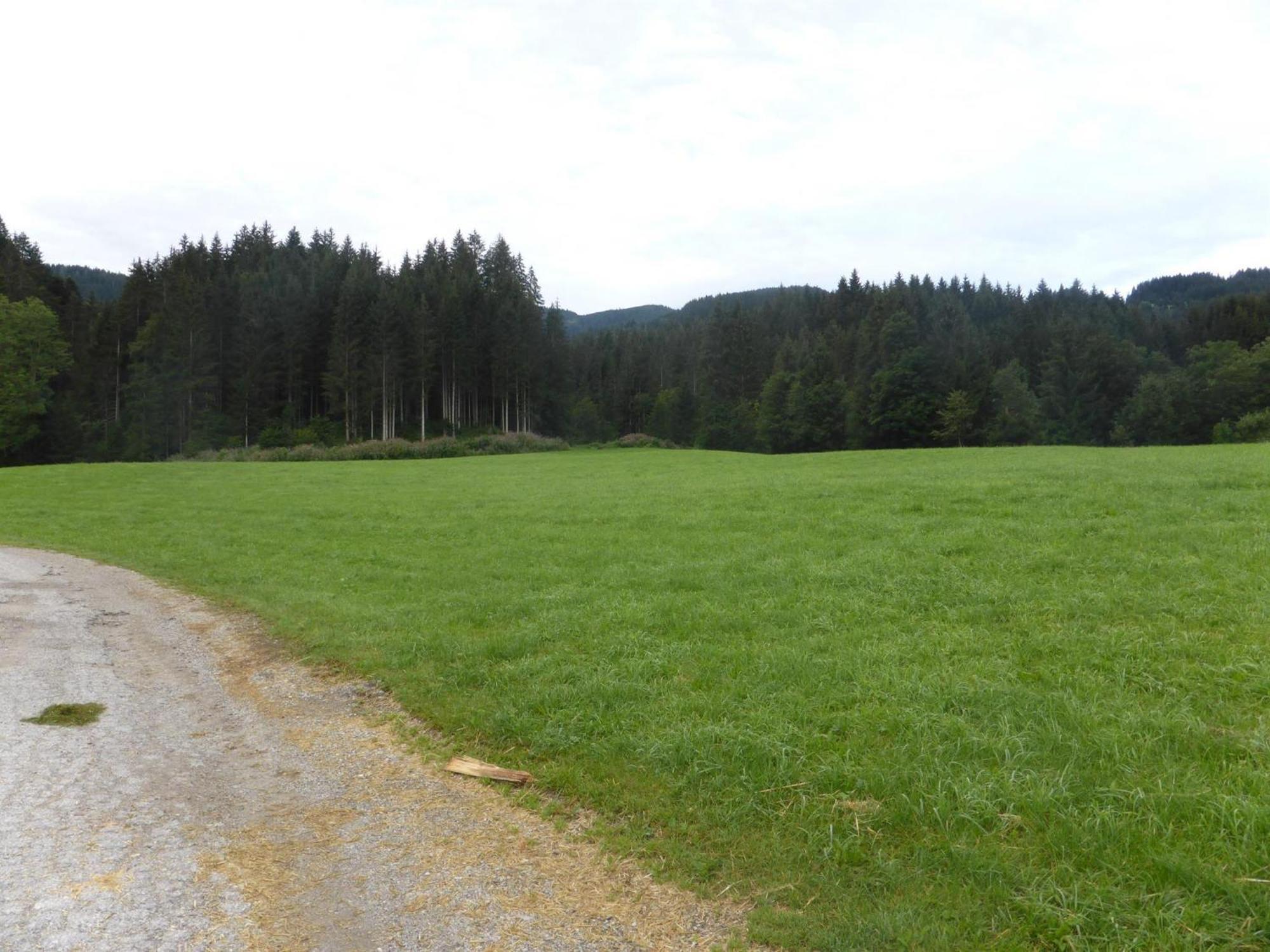 Schwaighof Villa Oberau Buitenkant foto