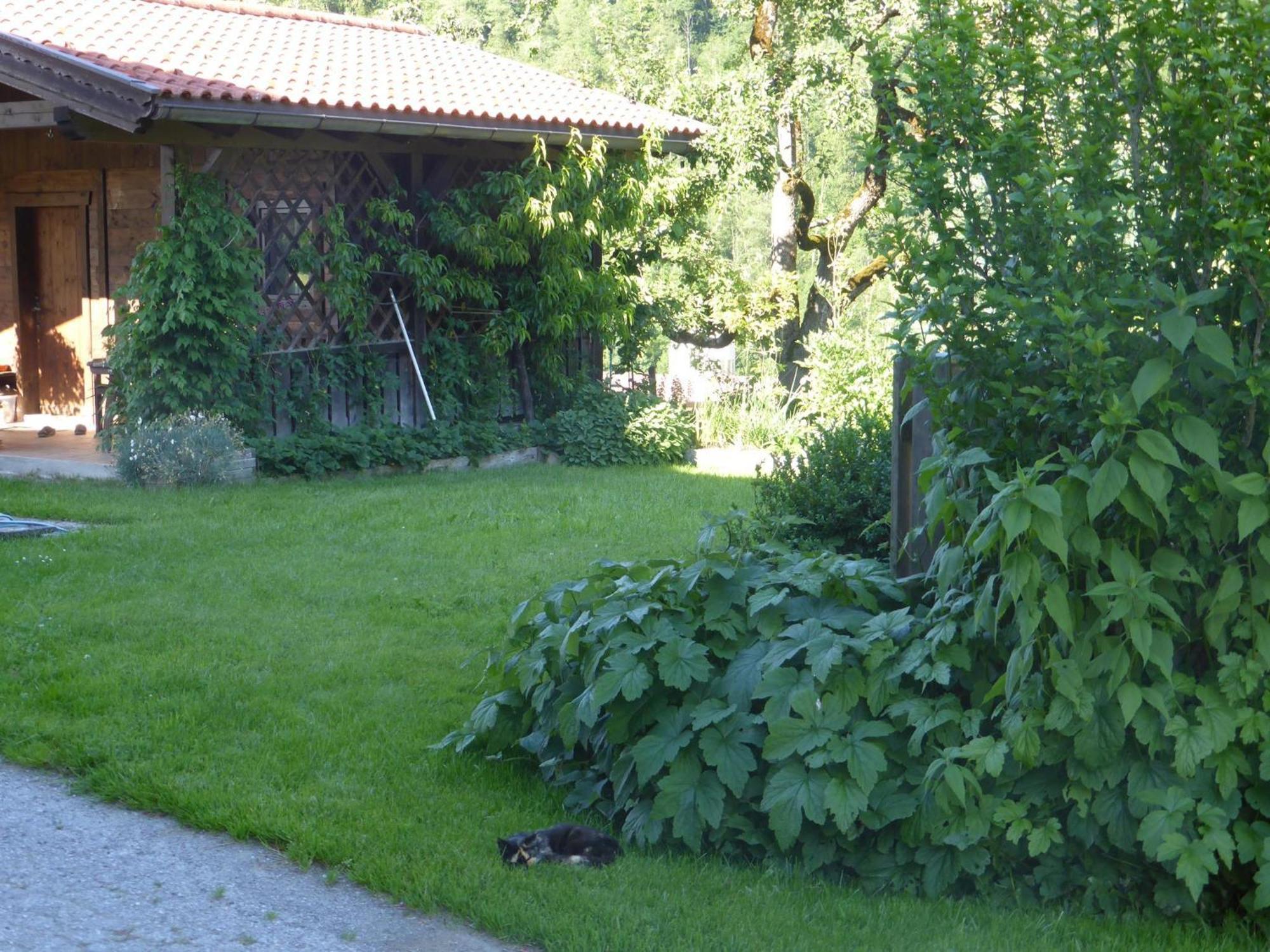 Schwaighof Villa Oberau Buitenkant foto